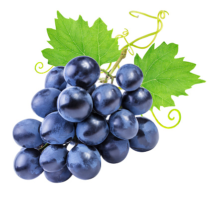 grapes isolated on the white backgroundgrapes isolated on the white backgroundgrapes isolated on the white backgroundgrapes isolated on the white backgroundgrapes Isolated on the white backgroundgrapes Isolated on the white background