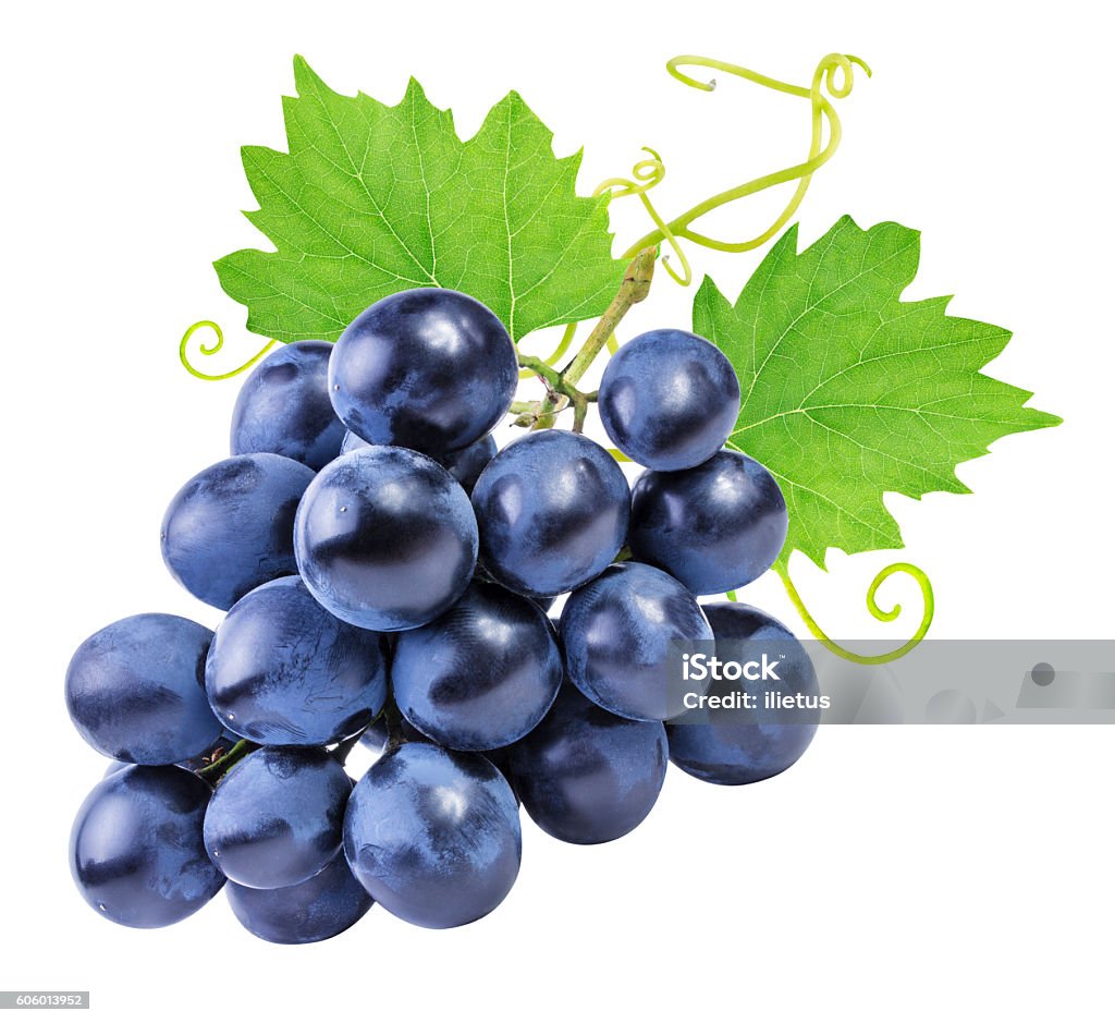 grapes Isolated on the white grapes isolated on the white backgroundgrapes isolated on the white backgroundgrapes isolated on the white backgroundgrapes isolated on the white backgroundgrapes Isolated on the white backgroundgrapes Isolated on the white background Grape Stock Photo