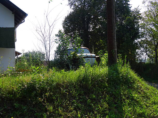 istock Auto salvage car in over grown weeds 606015254