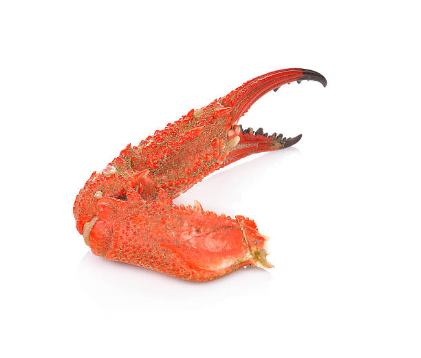 istock Boiled crab claws isolated on white background 606195314