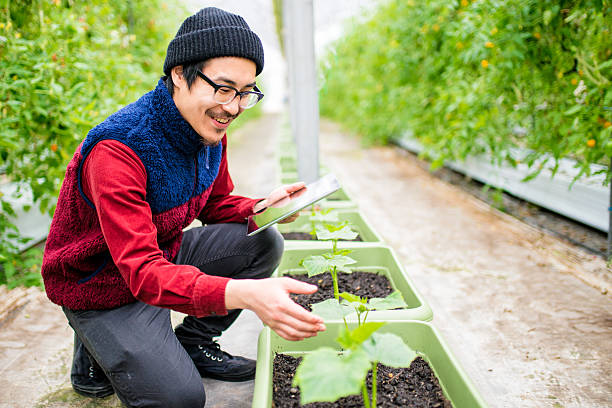 Farmer conducting research using a digital tablet in a greenhouse