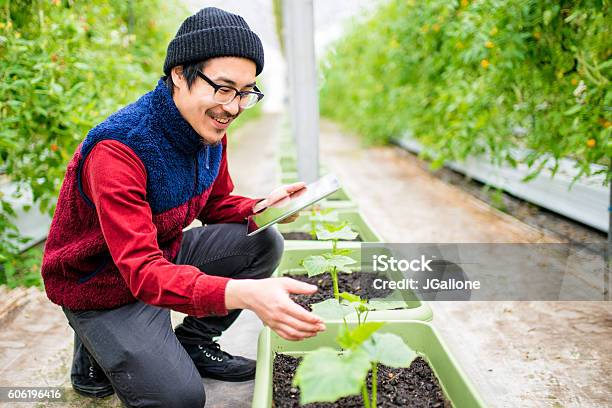 Farmer Conducting Research Using A Digital Tablet In A Greenhouse Stock Photo - Download Image Now