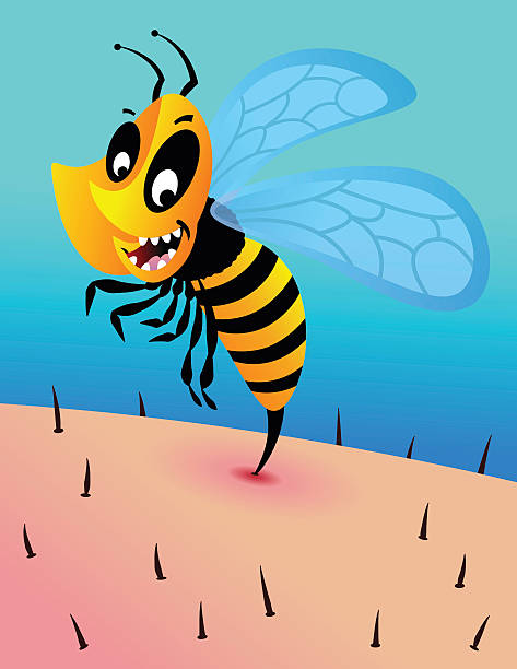 꿀벌 쏘임 - stinging stock illustrations