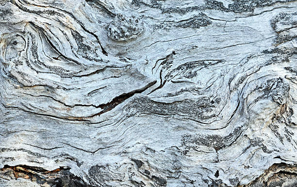 istock Patterns and texture of knotted wood 606201276