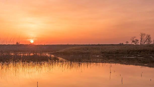 Sunrise at River stock photo