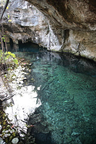 istock Grand Cenote at Tulum, Mexico 606206928