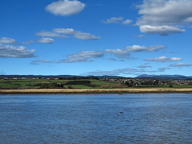 istock Launceston suburbs over Tamar River 606207542