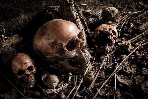 istock Still life with human skull and dried wood 606208424