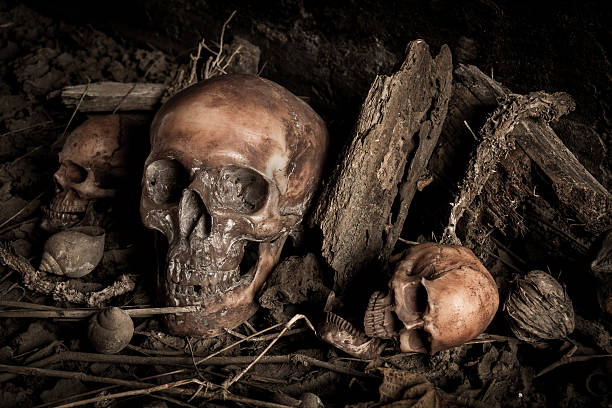 istock Still life with human skull and dried wood 606208530