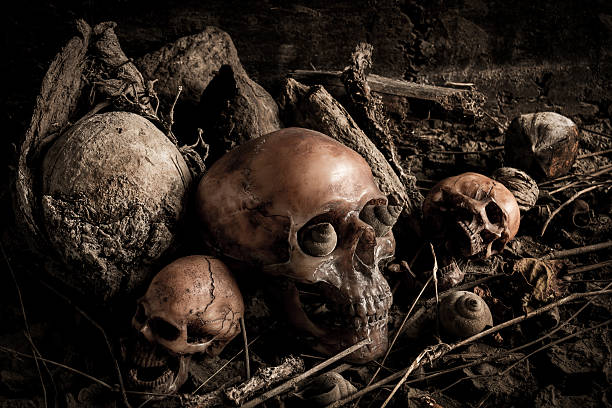 istock Still life with human skull and dried wood 606208642