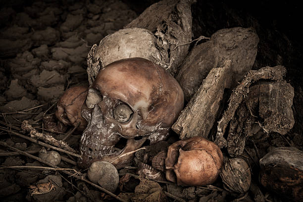 istock Still life with human skull and dried wood 606208764