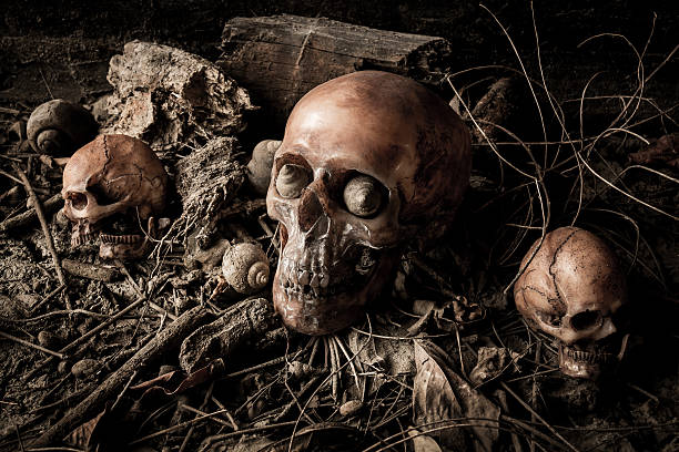 istock Still life with human skull and dried wood 606208860
