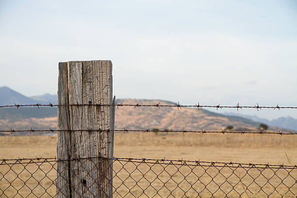 istock Barbed wire entanglement with wooden post 606208928