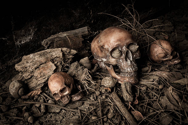 istock Still life with human skull and dried wood 606208976
