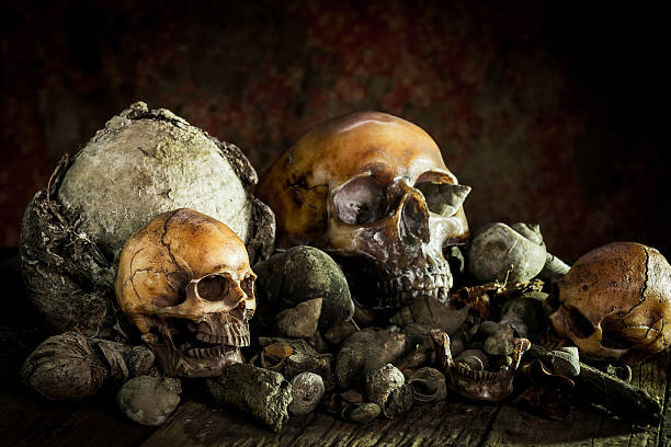 istock Still life with human skull and dried wood 606209042