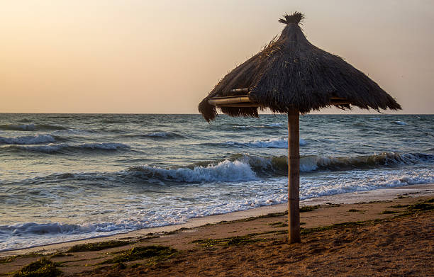 istock sunshade at the beach 606210354