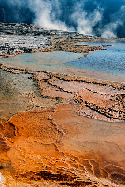 superbes détails de mammoth printemps yellowstone wyoming, etats-unis - natural landmark outdoors vertical saturated color photos et images de collection