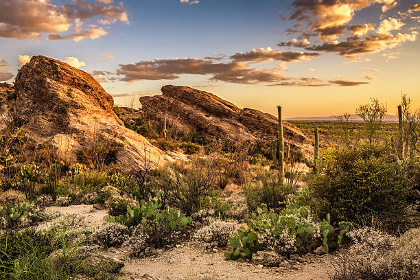 Sunset over Javelina Rocks in Saguaro National Park Sunset over Javelina Rocks in Saguaro National Park East near Tucson, Arizon sonoran desert stock pictures, royalty-free photos & images