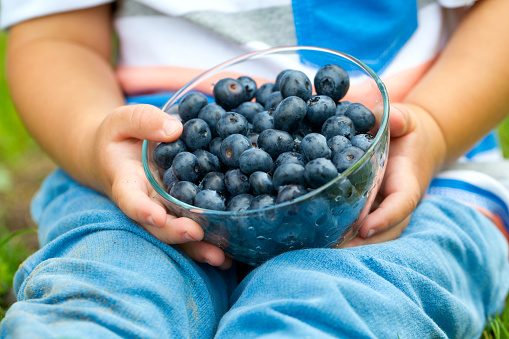 little cute boy holding bowl with blueberries