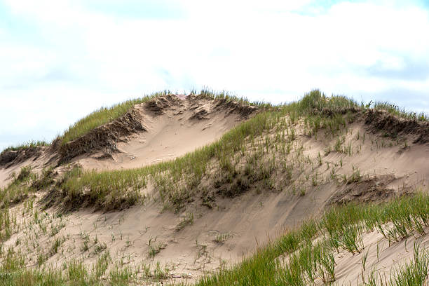 istock Protected sand dunes at Prince Edward Island National Park, Canada 606219020