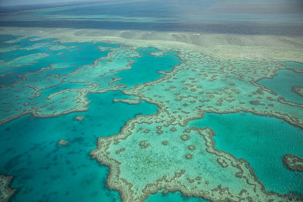 Aerial shot of the Great barrier reef Aerial view of the Great barrier reef in the Whitsundays Islands. great barrier reef marine park stock pictures, royalty-free photos & images