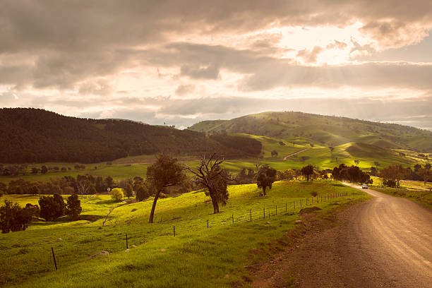 австралийский сельской местности - new south wales стоковые фото и изображения