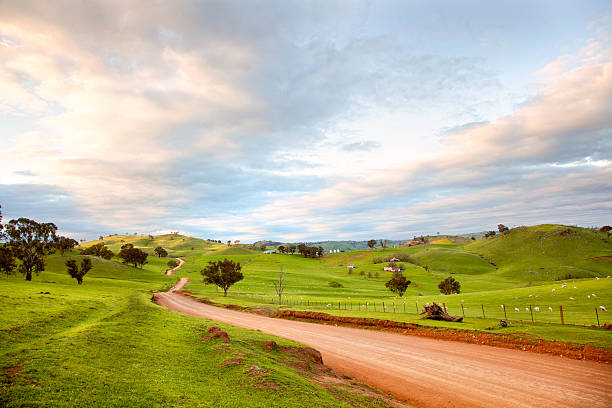 australian landschaft - rolling landscape stock-fotos und bilder