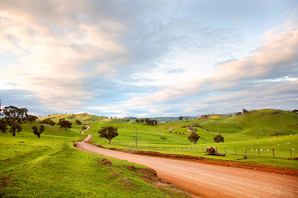 Australian countryside Australian countryside rolling field stock pictures, royalty-free photos & images