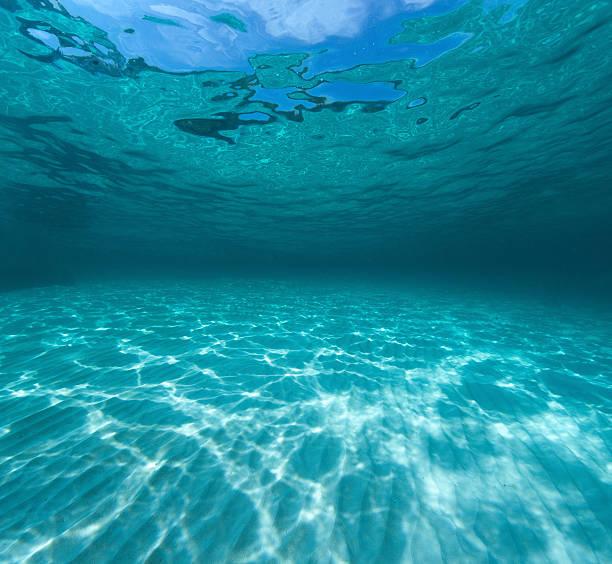 바다 모래 바닥의 수중 샷 - underwater textured effect water textured 뉴스 사진 이미지