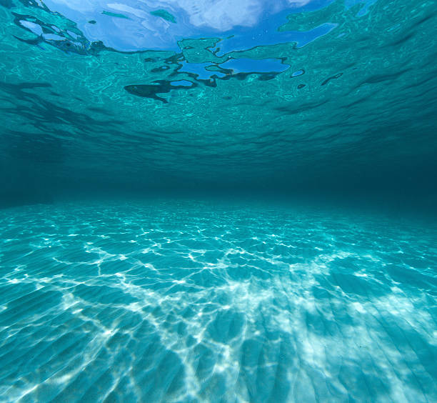Underwater shot of the sea sandy bottom