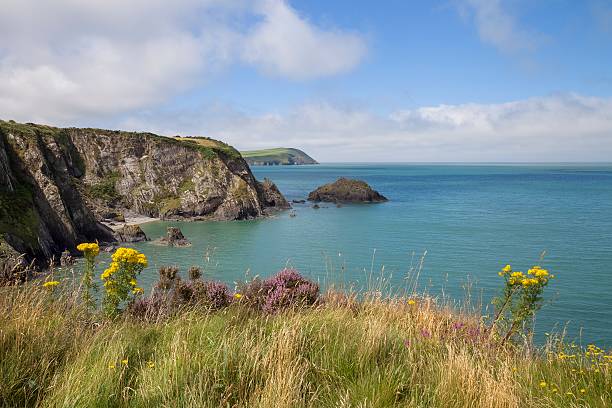istock Newport Sands, Pembrokeshire 606222748