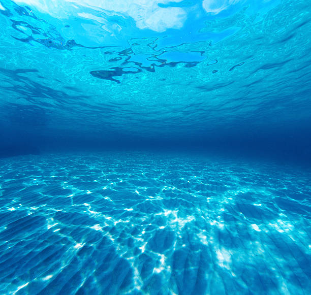 istock Underwater shot of the sea sandy bottom 606222922