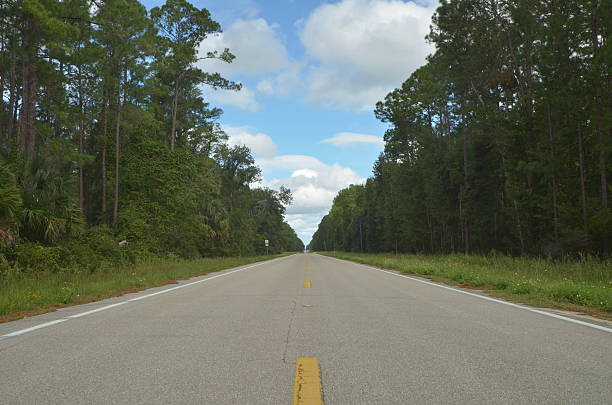 istock Low wideangle view of forested road running vertically up frame 606222974