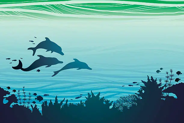 Vector illustration of Tree dolphins and coral reef.