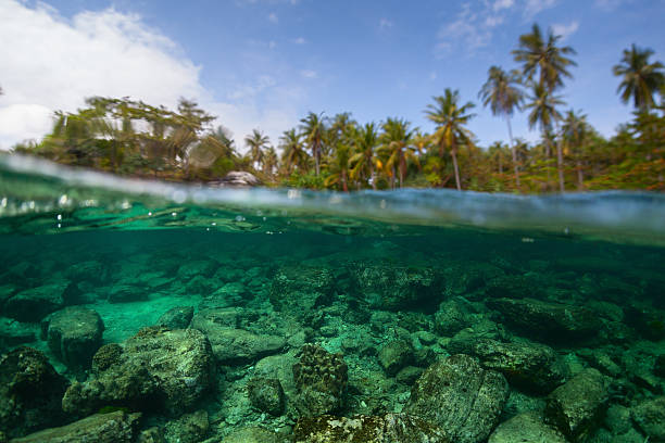 istock Underwater split shot of the sea rocky bottom 606224168
