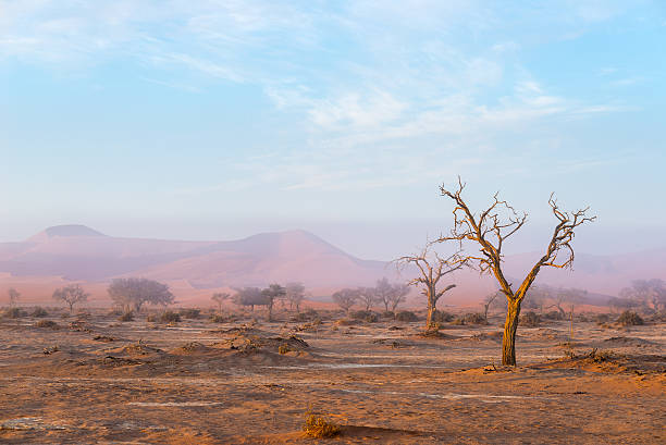 istock The Namib desert, Namibia, Africa 606224258