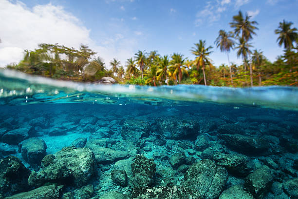 istock Underwater split shot of the sea rocky bottom 606226204