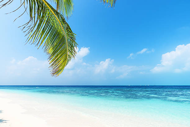 istock Tropical paradise beach with sea view 606227598