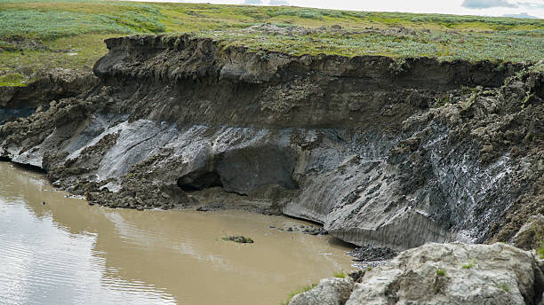 istock YAMAL PENINSULA, RUSSIA - JUNE 18, 2015: Expedition to the 606227822