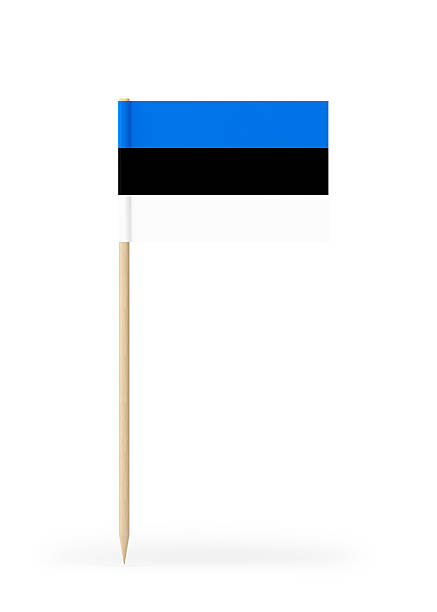 Small Estonian flag  on a toothpick. The flag has nicely detailed paper texture. High quality 3d render. Isolated on white background. 3D rendering.