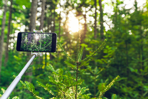 Capturing image with a selfie stick in the city forest.