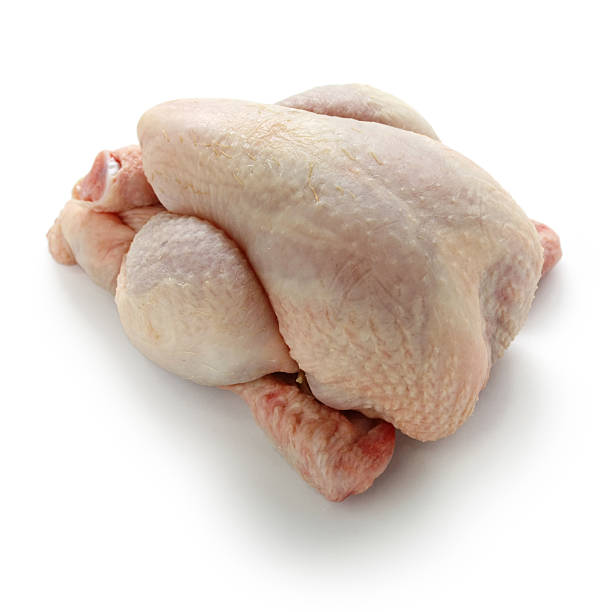 Helloworld Poussin 420+ Poussin Stock Photos, Pictures & Royalty-Free Images - iStock
