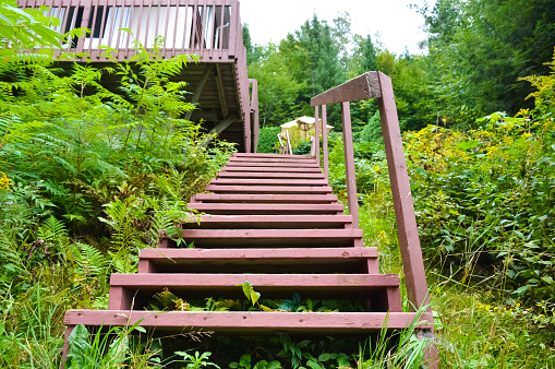 Holiday apartment - wooden stairs in the cottage in forest in Canada