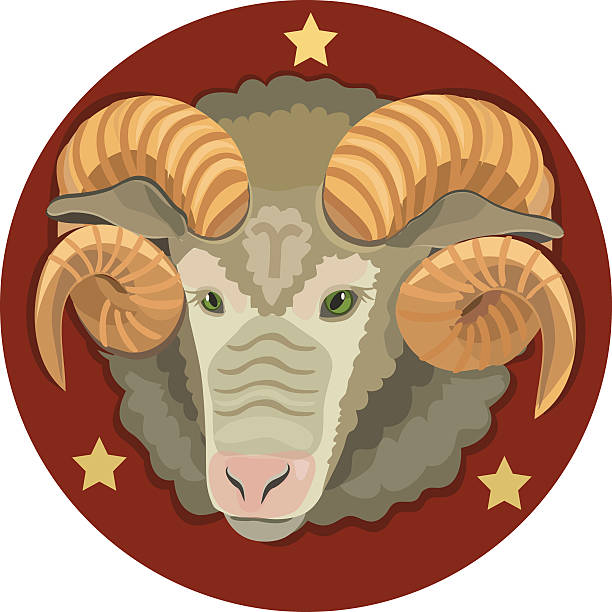 istock The head of the RAM with the stars 606237690