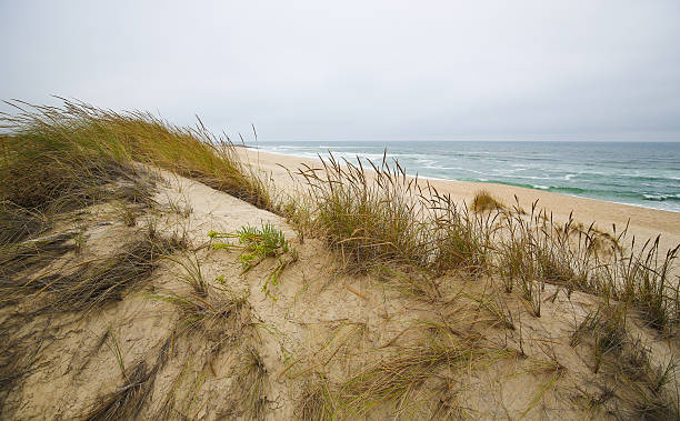 istock Costa Nova, Aveiro, Centro region, Portugal 606238896