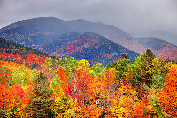 秋の adirondacks - adirondack mountains ストックフォトと画像