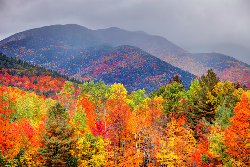 Peak autumn foliage in the Adirondack Mountains of New York near Lake Placid