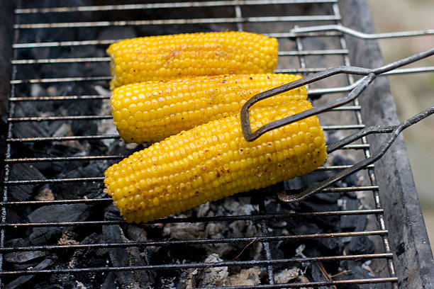 Corn cobs roasted on barbecue stock photo