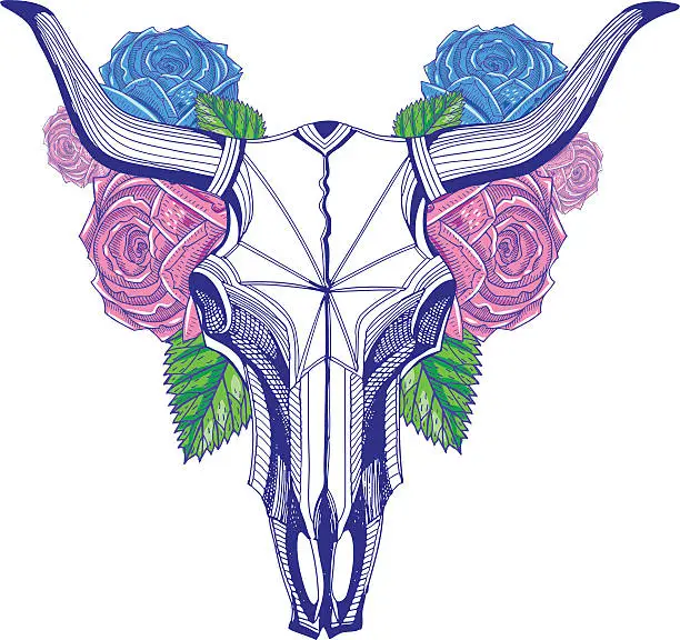 Vector illustration of Bull skull and roses, graphic arts