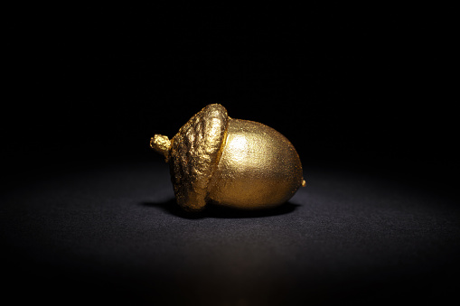 golden acorn on a black background, abstract business concept